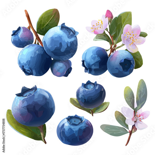 Vector, flat design, animation design, simple flat 2D icon, minimalist design, a Simple design flat 2D icon Vibrant Blueberry Fruit Collection isolated on a white background