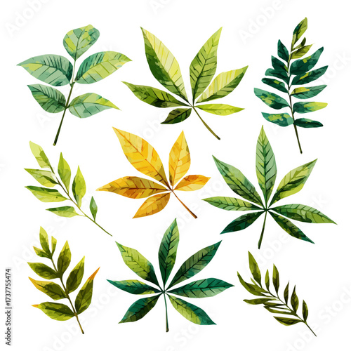 An illustration Vector, flat design, animation design, simple flat 2D icon, minimalist design, a Simple design flat 2D icon Vibrant Cassava Leaves Collection isolated on a white background, eps