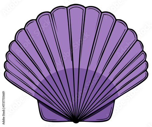 Vibrant purple seashell illustration with striking black outlines and subtle shading