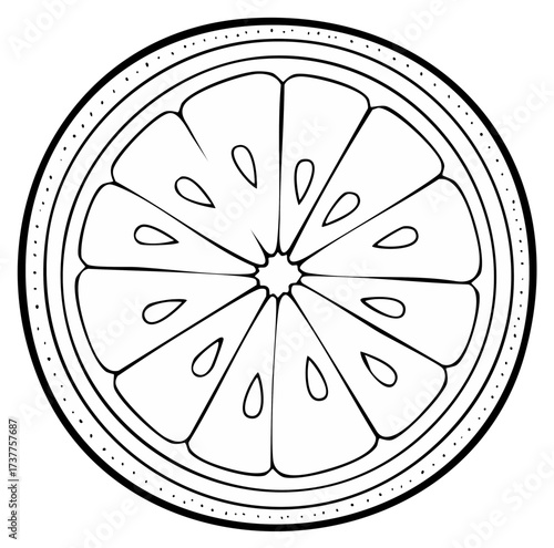 Vector illustration of sliced citrus fruit. Black and white citrus slice icon isolated.