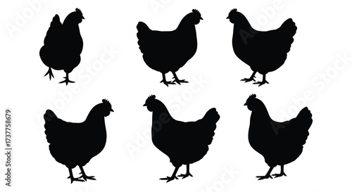 Six black silhouettes of chickens facing different directions displayed