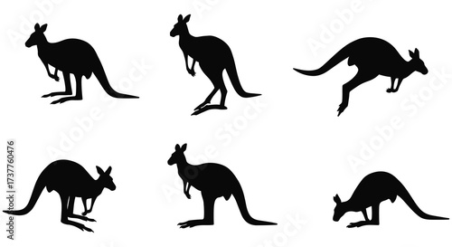 Silhouettes of kangaroos in various poses against a white background