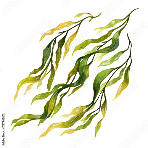 Flat 2D icon, minimalist design, clipart, A Simple flat 2D icon, kelp seaweed strands Collection illustration isolated on a white background, vector, flat design, animation design