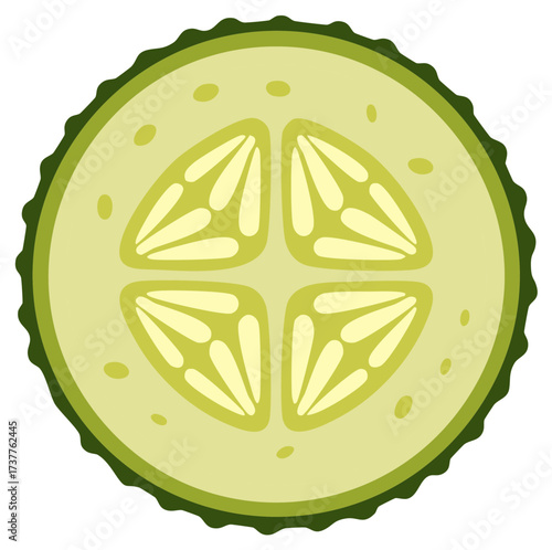 Fresh Cucumber Slice Illustration Vibrant Green Texture Healthy Food Ingredient