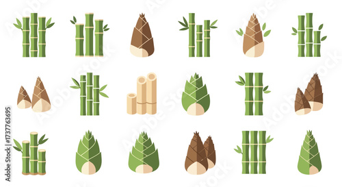 Collection of Bamboo Shoots and Stalks in Various Stages of Growth.