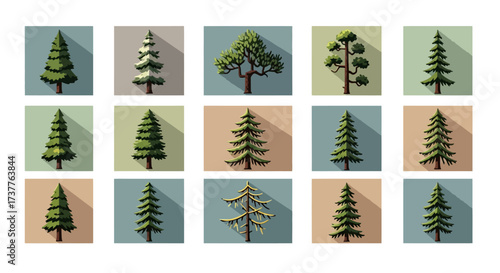 Collection of diverse stylized evergreen trees in flat design style.