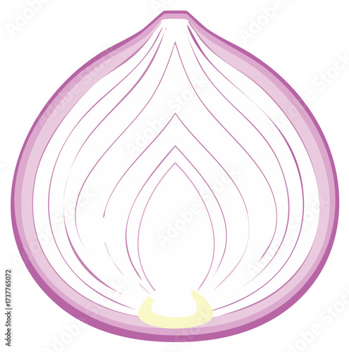 Stylized cross section of a purple onion with thin layers and a white background