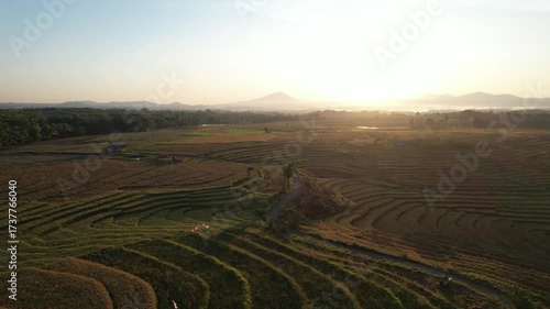 Drone footage of golden rice terraces at sunrise with a scenic mountain view. Warm sunlight enhances the peaceful rural landscape, perfect for themes of agriculture, travel, and nature.

