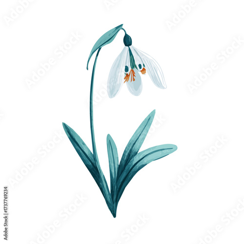 Icon illustration, A Simple flat 2D icon snowdrop flower isolated on a white background, vector, simple flat 2D icon, minimalist design, EPS, simple design