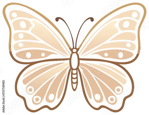Beige butterfly wings vector outline illustration with rounded shapes and spots