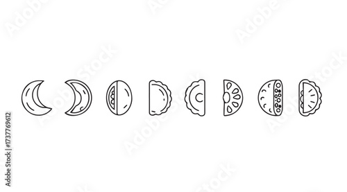 Vector art of fruit phases