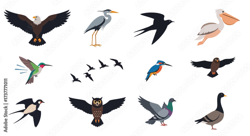 Obraz premium Diverse Bird Collection - Eagle, Heron, Swallow, Pelican, Hummingbird, and More.