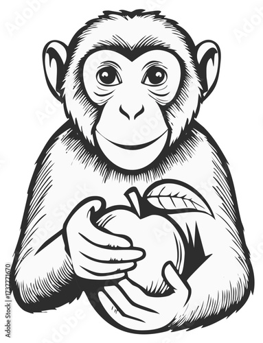 Friendly monkey illustration holding an apple happy cartoon character animal concept