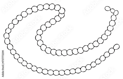 Simple black and white illustration of a pearl necklace in a curved shape