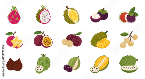 Exotic Tropical Fruits - A Colorful and Diverse Collection.