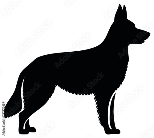 Standing German Shepherd Dog in Black Silhouette, Isolated Animal Image