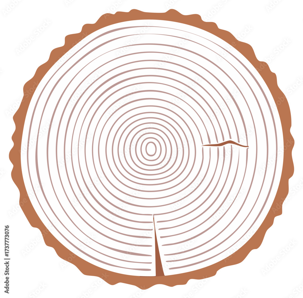 Fototapeta premium Wood Tree Trunk Cross Section Vector Illustration with Annual Rings Showing Growth and Age