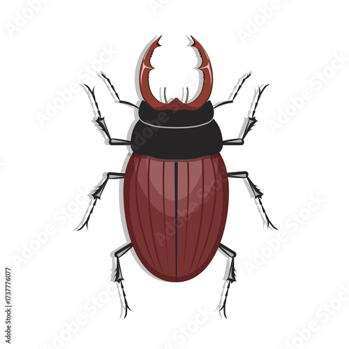 A stag beetle isolated on a white background.Vector illustration of an insect.