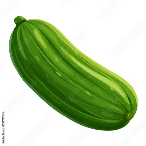 A cucumber illustration, digital painting, cucumber illustration in watercolor style, isolated on a white background, fruit collection, EPS format design