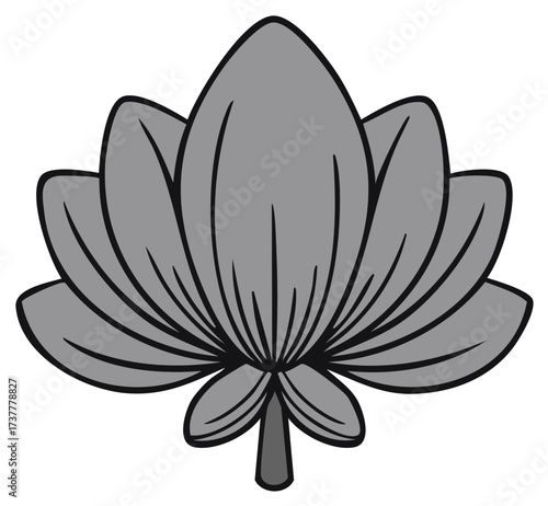 Gray water lily blossom graphic illustration, isolated, vector drawing with black outlines