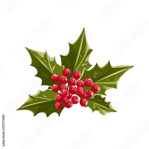 Icon illustration, A Simple flat 2D icon holly berries isolated on a white background, vector, simple flat 2D icon, minimalist design, EPS, simple design