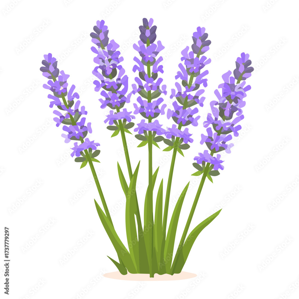 Fototapeta premium Icon illustration, A Simple flat 2D icon lavender sprig isolated on a white background, vector, simple flat 2D icon, minimalist design, EPS