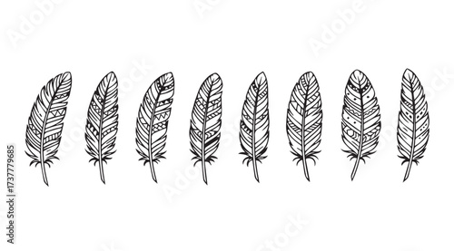Vector art of feathers