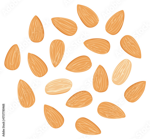 Scattered Whole Almonds Illustration Healthy Snack and Ingredient Graphic