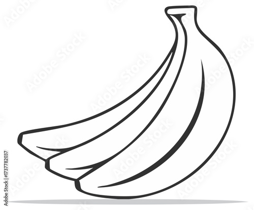 Vector drawing of a bunch of bananas with outlined details for use in compositions