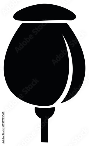 Poppy Seed Pod Silhouette Symbolic Floral Icon Botanical Element