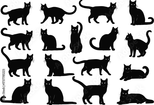 Black cat silhouette vector set, feline poses collection, sitting, walking, stretching, lying down, animal behavior illustration, pet icon bundle, isolated design