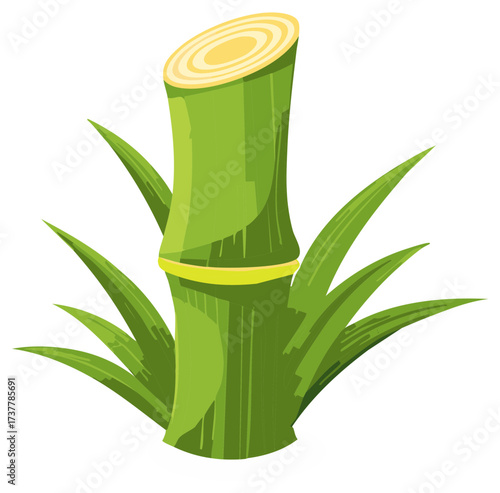 Illustrated Green Bamboo Stalk with Leaves, Plant Stem and Nodes