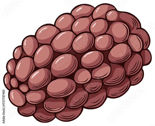 Illustrated cluster of oval-shaped beans with various shading effects, side view.
