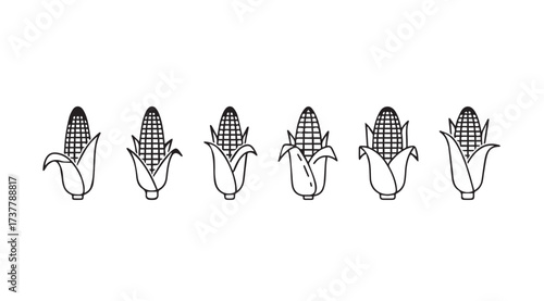 Vector art of corn collection