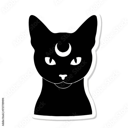 Black Cat Portrait with Crescent Moon on Forehead

