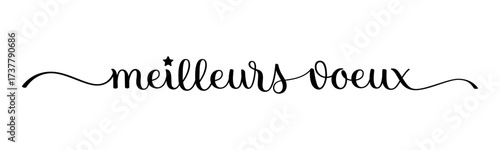 MEILLEURS VOEUX (HAPPY NEW YEAR in French) black vector brush calligraphy banner with swashes