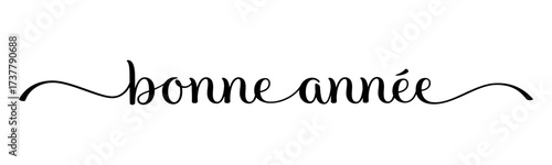 BONNE ANNEE (HAPPY NEW YEAR in French) vector brush calligraphy banner with swashes