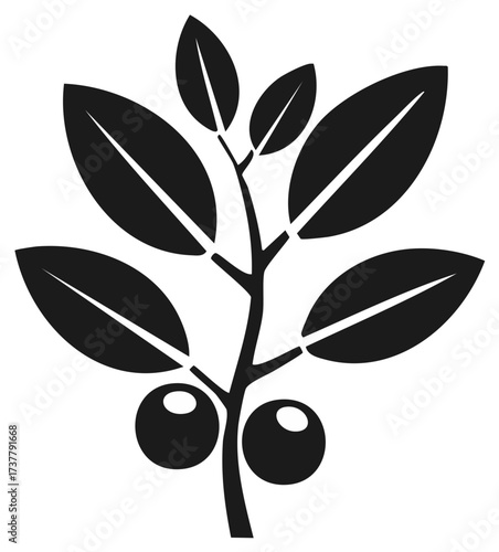Silhouette of berry branch with leaves vector illustration for design resource
