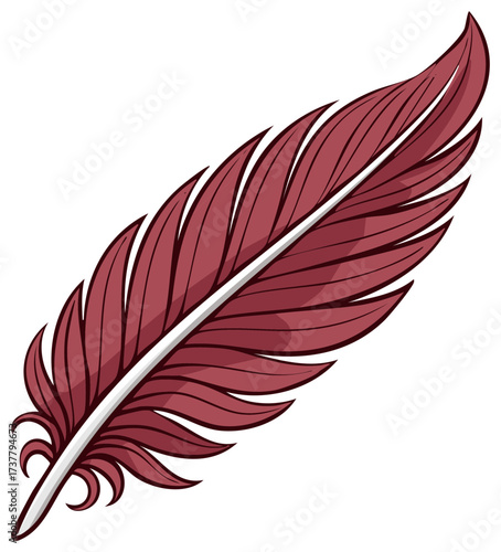 Red feather illustration isolated on white background, decorative element
