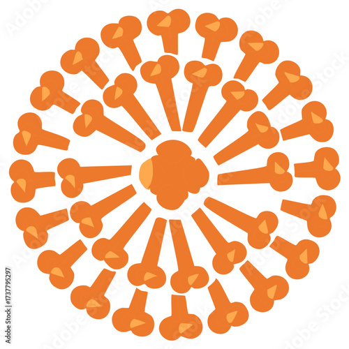 Stylized Orange Clove Spice Arranged in a Circular Mandala Pattern