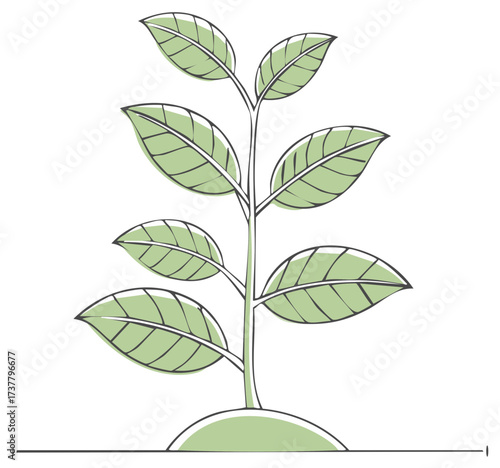 Green plant illustration with leaves and stem growing from the soil
