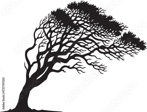 Silhouette Of A Tree Bent By Strong Wind vector illustration