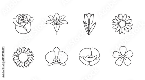 Vector art of flower collection