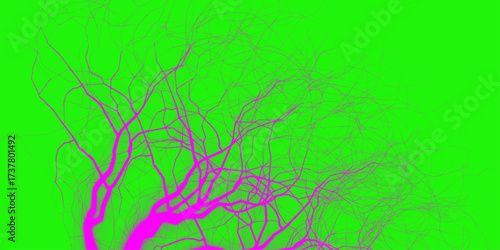 Dramatic lightning strikes illuminate a green sky, showcasing the raw power of nature during a stormy weather event. Close up image of palm tree leaf. Tropical and nature background.