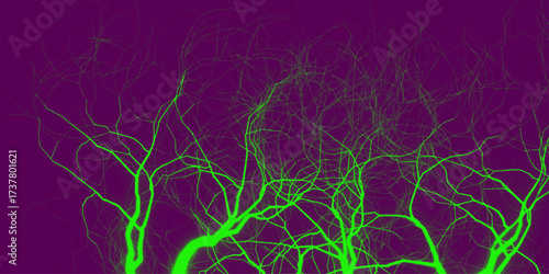 Abstract background, silhouette of colorful tree branches. Dramatic purple and green lightning strikes illuminate the sky during a fierce storm at dusk. Dark green neon marble banner abstract stone bg