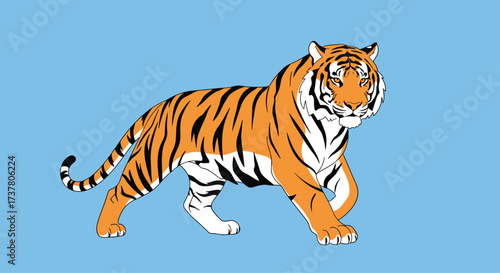 The majestic tiger walks proudly across the serene blue sky background.