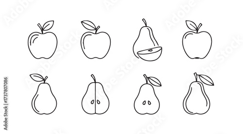 Vector art of apples and pears