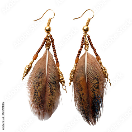 Elegant feather earrings with gold accents