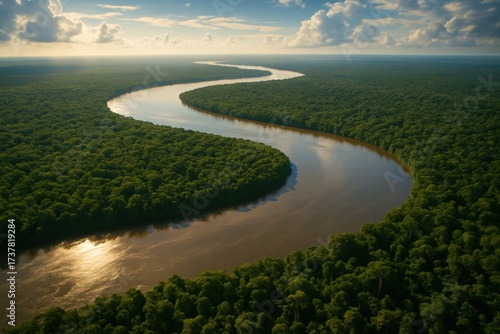 Aerial view of the Amazon River in rainforest. AI Generative.