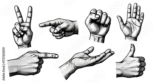 Collection of Various Hand Gestures Illustrating Communication Techniques and Human Expressions in Vintage Black and White Style